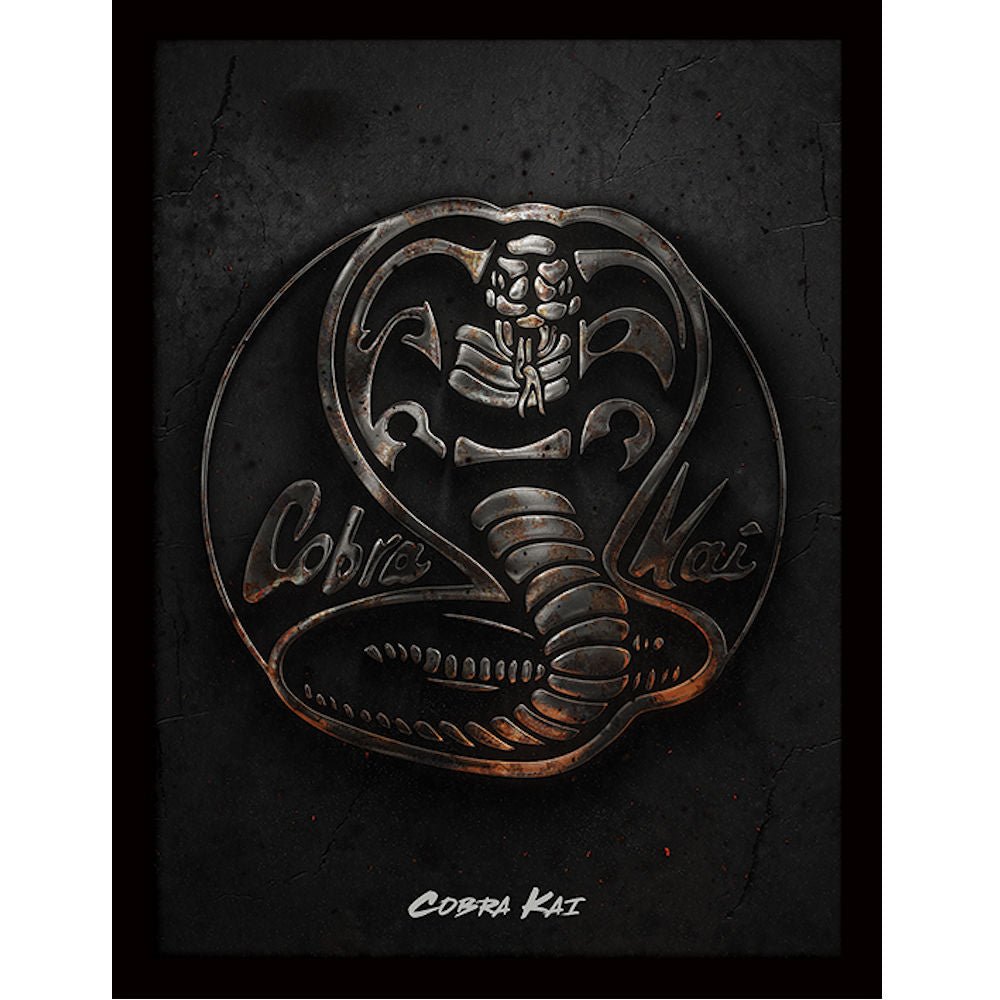 COBRA KAI コブラ会 - Metal / インテリア額 - PGS